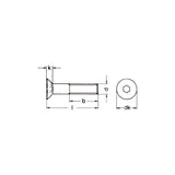 ISO10642 Senkschrauben mit Innensechskant 8.8 blank