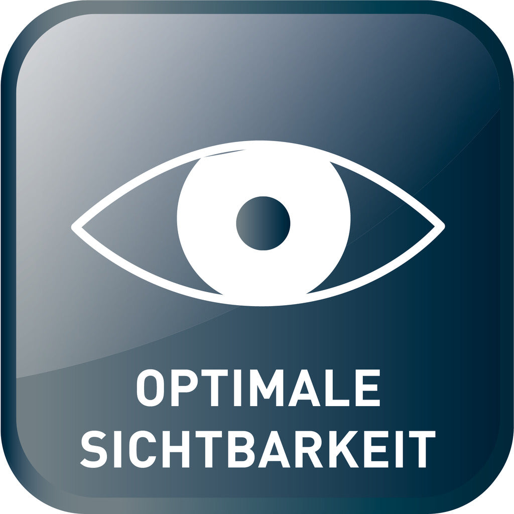 BODYFORCE Shorts 2425