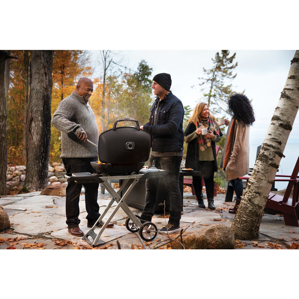 Napoleon Gasgriller TravelQ™ PRO 285X